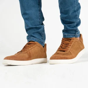 Tennis Casual Robert